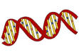 [ DNA image ]