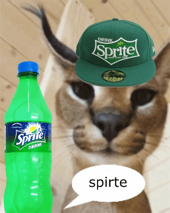 spirte