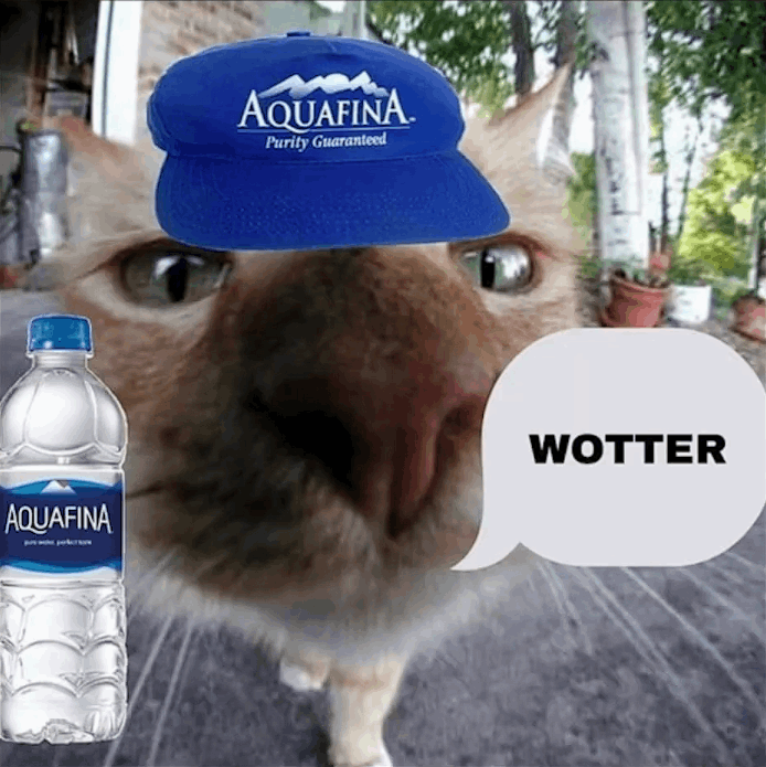 WOTTER