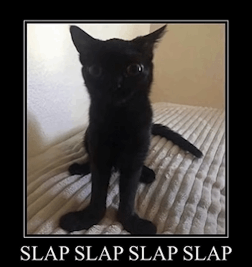 SLAP SLAP SLAP SLAP